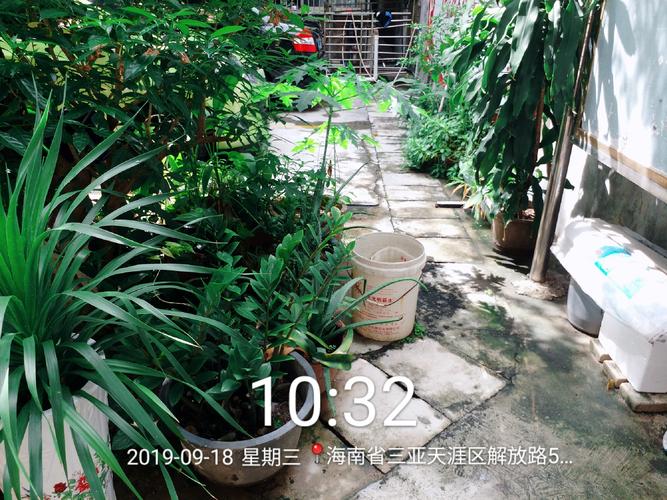 天涯区开展物业管理专项督导 聚焦民生痛点，提升服务品质